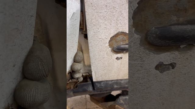 Как сделать на пассат Б6 Audi R8 лук #passat #tdi #automobile #volkswagen смотреть онлайн