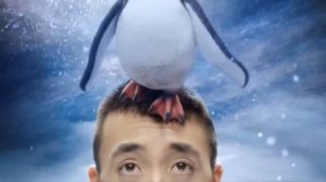 Реклама HALLS 2016