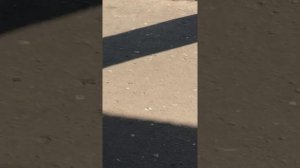 Беспредел сотрудников полиции и их начальства Г.Новозыбков