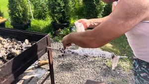 VLOG 7 : Вкусный и сочный шашлык  из свиной печени / Вкусно и душевно по домашнему /