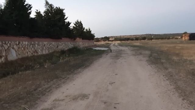 моя бы воля просто бы прибила .злости не хватает. смотреть онлайн