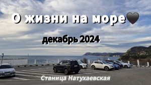 О Море.Будни в станице.Натухаевская.Семигорье.Утриш. Декабрь 2024