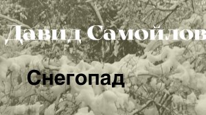 Давид Самойлов.Снегопад.