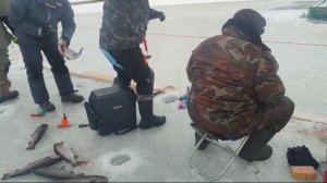 WhatsApp Video 2024-12-22 at 09.46.28