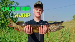 Рыбалка на спиннинг Сентябрь 2024