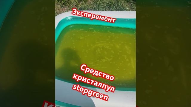 Эксперимент со средством стопгриин (stopgreen pro), через 12 часов будет второе видео