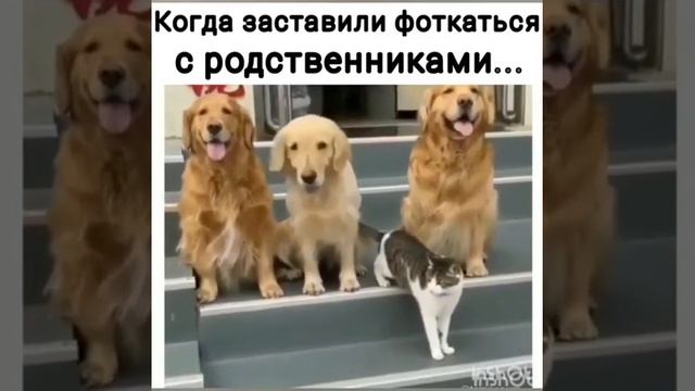 семейное фото смотреть онлайн