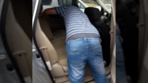 подробное видео ипсума