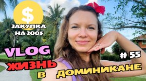 Что купила на 200$ в Доминикане | У манго появились плоды | Собрала мозаику