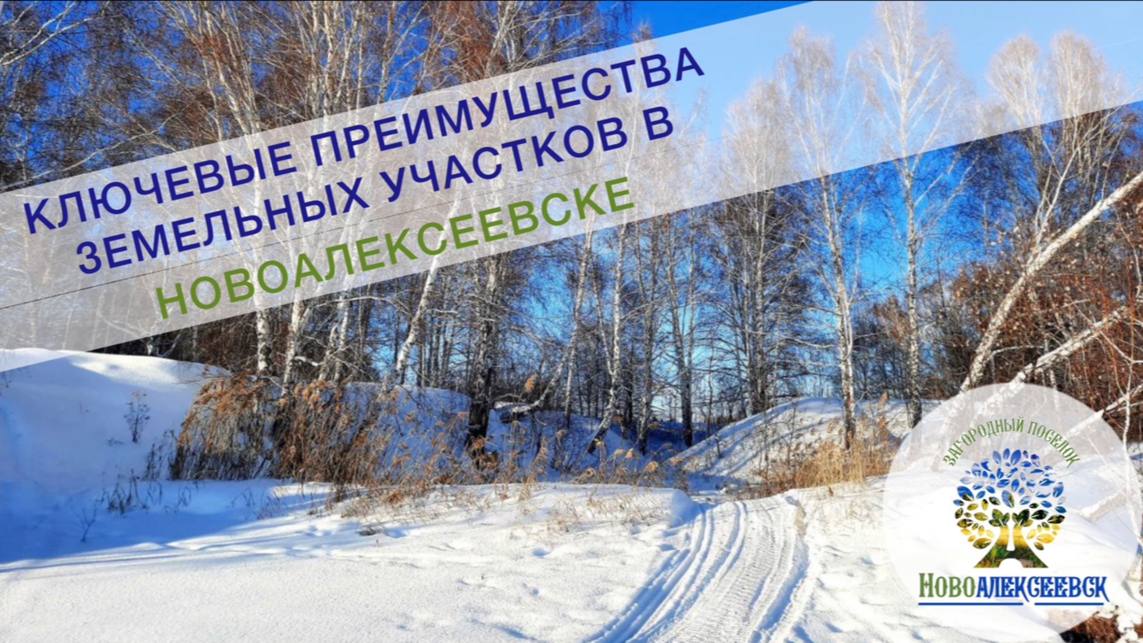 Ключевые преимущества земельных участков Новоалексеевска.