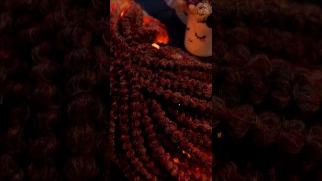 долли-дреды Принцесса Пламя дреды доллидреды