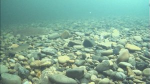 Хабаровск.Зимняя рыбалка на горной реке.