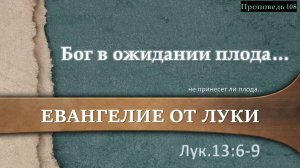 108 Бог в ожидании плода (Лк 13:6-9)