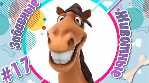 Забавные и Смешные Животные №17 + Прикольные Видео про Животных