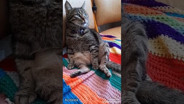 Доброе утро с Гришей.