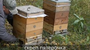 вывоз пчёл с лесного точка осень 2014