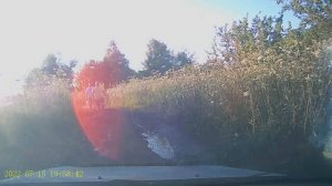 Лунинские приключения. Рыбалка с Константином и Валерием.