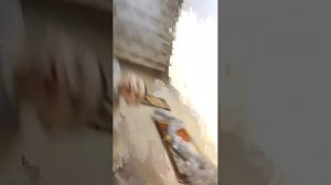 кечо новенькое