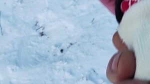 Дети России.