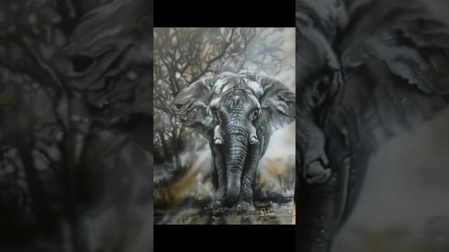 У всех есть какой-то талант, а что умеешь ты?
