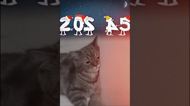 Эх уже так скоро 2025.. смотреть онлайн