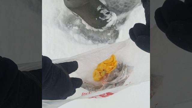 рыбалка