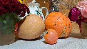 Дача в ноябре