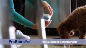 ProBiora Health – Smart Pets, Healthy Dog