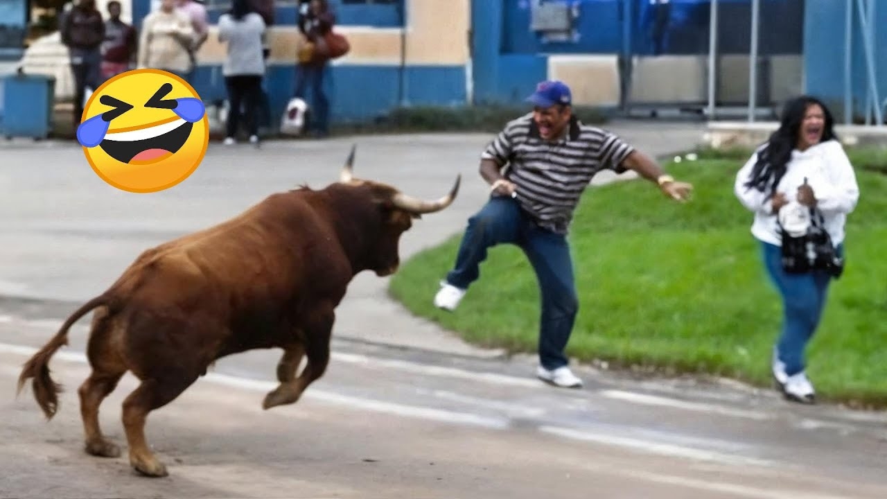 TRY NOT TO LAUGH 😆 Best Funny Videos Compilation 😂😁😆 смотреть онлайн