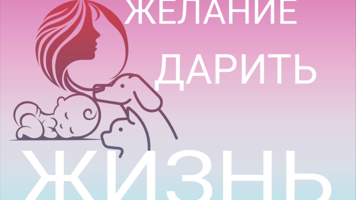 Работа ПВЗ и Сантехника