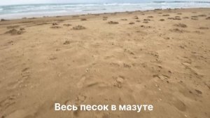 #Анапа. Мазут на пляжах.Ужасные последствия. Обстановка в Анапе