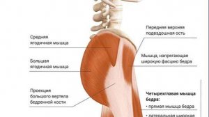 Как можно применять точечный массаж