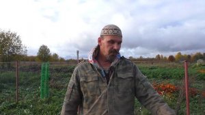 Септик без откачки и запаха - результат за год