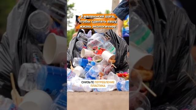 как жить экологичнее #экологичныйбизнес #экология #экологичность