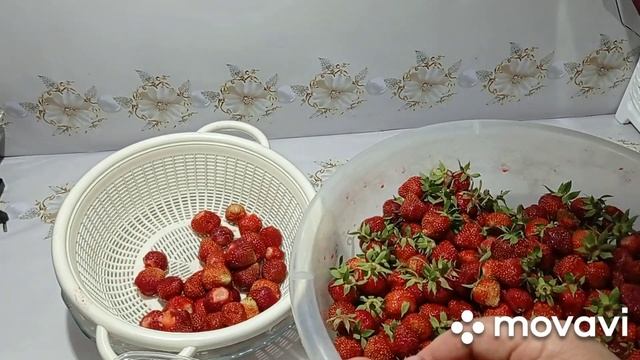 Как заморозить клубнику на зиму в морозильной камере без сахара целиком
