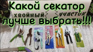 🌲Как выбрать секатор для многократного использования!!!🌲