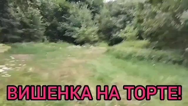 ЗАКРЫВАЙТЕ КАНАЛ! ANYANASTYA LIFE. ОБЗОР.