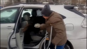 Олег ЛКO NOVOSIBAVTOLIFE Лексус rx300 2005