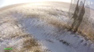 Охота на куропаток- в канавах.