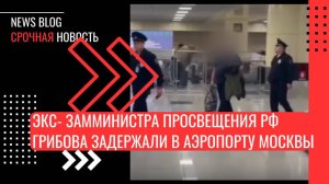 Бывший замминистра просвещения РФ задержан в московском аэропорту по уголовному делу о мошенничестве