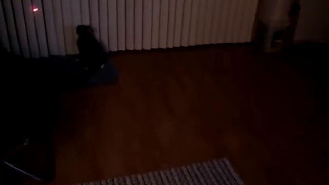 Лазерная игрушка для котов FroliCat Bolt