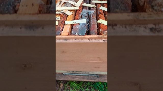 Пластины СТОПМОЛЬ, результат применения