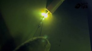 Сборка и сварка печи из нержавейки AISI 304 для бани | TIG на CEBORA WIN TIG AC/DC #tigekb