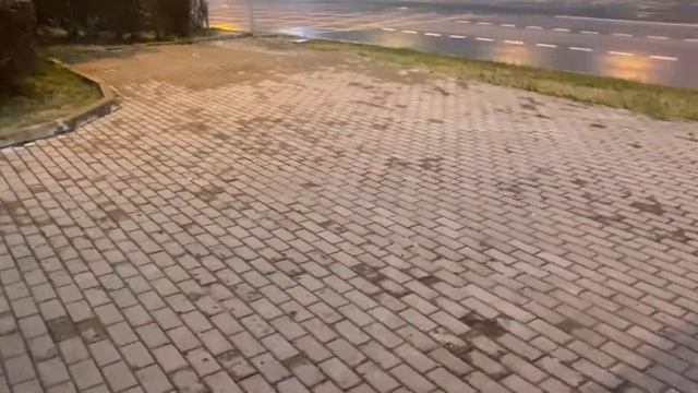 Шаверма патруль 2.0 #2
