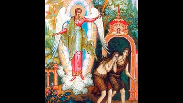 " Где ты?" (Быт.3:9).. (Протоиерей Василий Хадыкин) смотреть онлайн