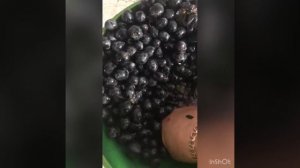 Готовлю виноградный сок для чурчхели!🍇🍇🍇