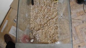 Град А-1000 Про+ испытание 1