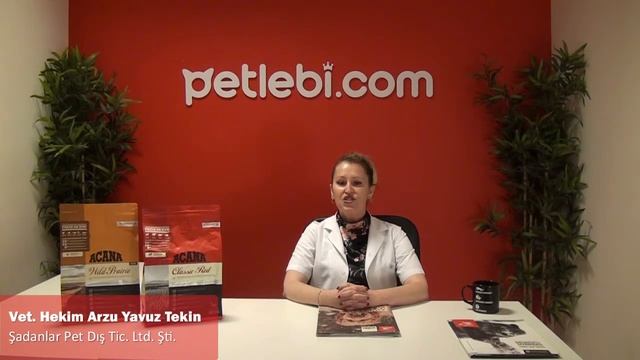 Acana Yanıtlıyor: Acana Classics Prairie Poultry Tavuklu ve Hindili Düşük Tahıllı Köpek Maması смотреть онлайн