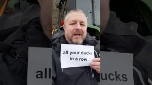 Meaning of ALL YOUR DUCKS IN A ROW - A Short English Lesson with Subtitles