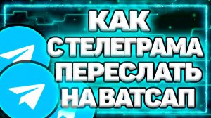 Как С Телеграмма Переслать На Ватсап